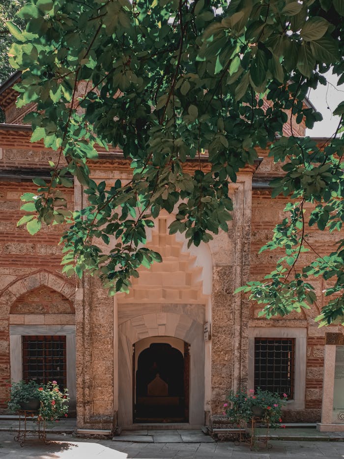 A beautiful entrance of a historic building framed by lush green leaves, suggesting tranquility.
